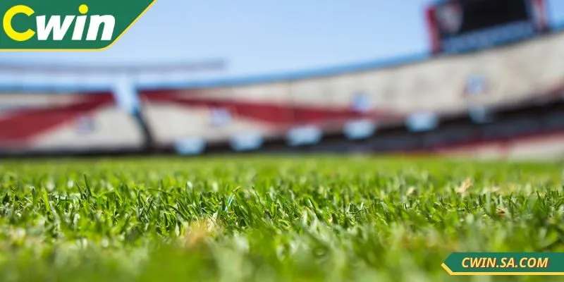 Nắm ngay các kinh nghiệm tham gia CWIN cá cược thể thao hiệu quả